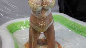lauren-plays-guess-the-mess-extreme_15.j